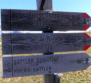 Fotomotive non stopp 