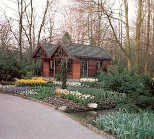 Blumenpracht im Keukenhof / Holland