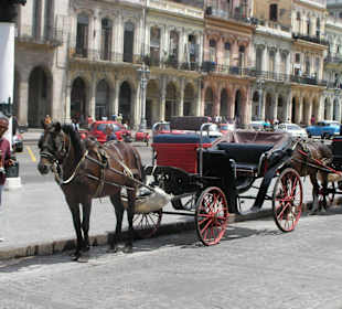 Havanna - Pferdekutsche