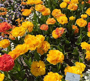 Botanischer Garten München