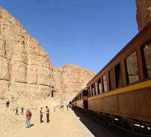 Tunesien der rote Salamander