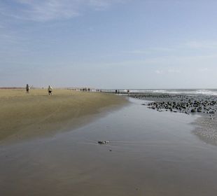 Dünen von Maspalomas