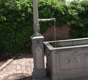 Brunnen bei der Kirche Altensteig