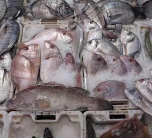 Auch Fische gibt es im Souk