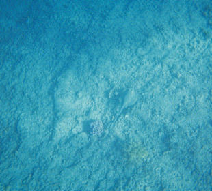 Und wer hat es gesehen