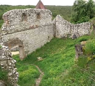 Ruine Burg Kaltenburg