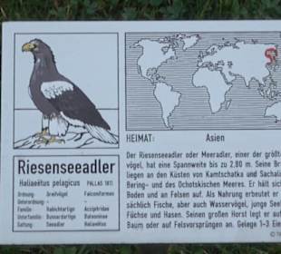 Falkenhof Rosenburg