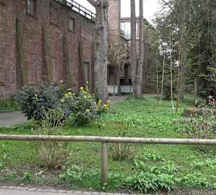 Botanischer Garten
