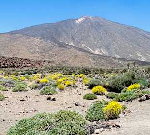 Teide Nationalpark 
