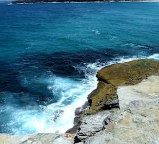 Bondi to Coogee Walk