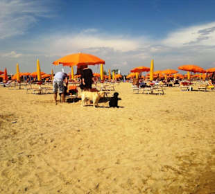 Pluto-Hundestrand Bibione