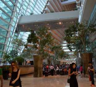 Skypark Marina Bay Sands