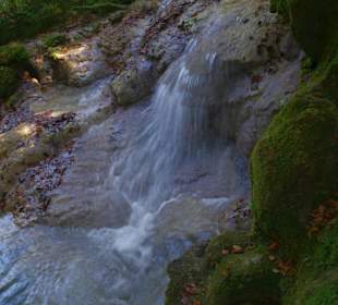 Горный нацпарк Истоки реки Уредерра, Наварра