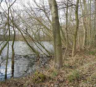 Naturschutzgebiet Boberger Niederung