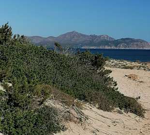 Wandern Can Picafort