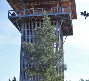 Der Aussichtsturm des Baumwipfelpfades