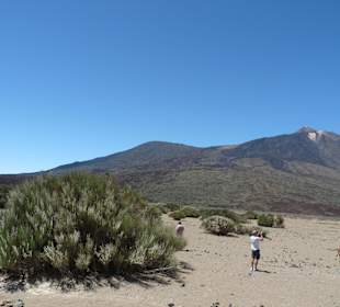 Parque Nacional del Teide