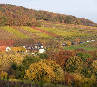 Altenwegshof im Herbst