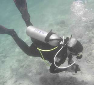 Tauchbasis Tauchen unter Freunden