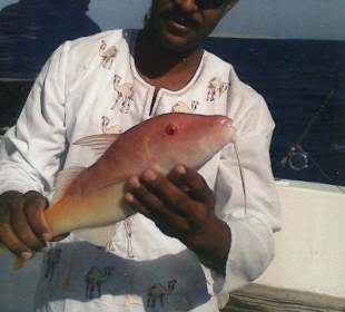 Sonniger Urlaub, nette Menschen