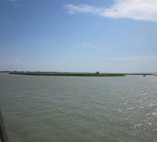 Inse im Neusiedler See