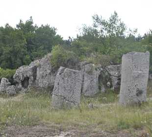 Stone Forest