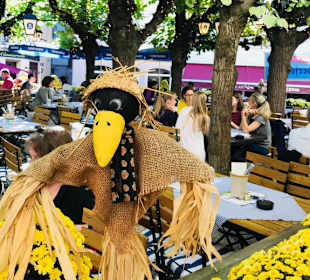 Tolle Herbstdeko 2018 im Löwenbräu Baden-Baden