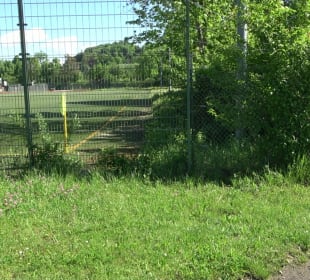 Sportplatz 1 (Rasen) Herlazhofer