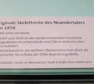 Rheinisches Landesmuseum