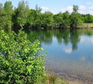 Der zentrale Ellisee im Sandtrockenrasen von Achim
