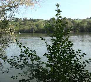 Wanderung zur Burgruine Liebenau