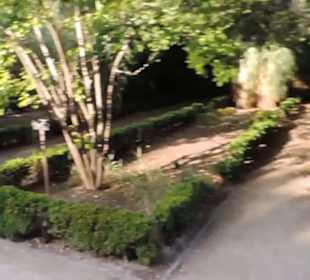 Real Jardín Botánico de Madrid