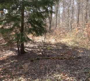 Geologischer Lehrpfad Kirnbachtal