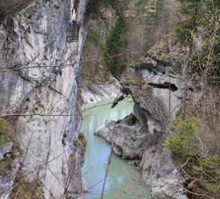 Walderlebniszentrum Ziegelwies