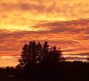 Wandern Sankt Oswald-Riedlhütte