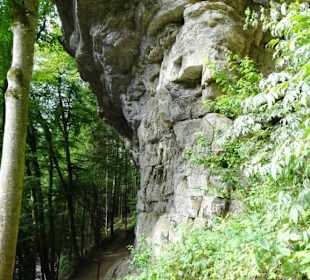 Wanderung durch die Kleine Luxemburger Schweiz