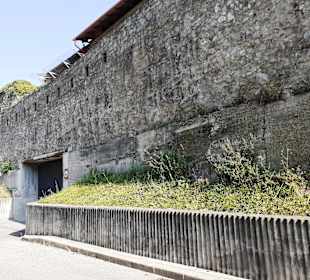 Stadtrundfahrt Bratislava