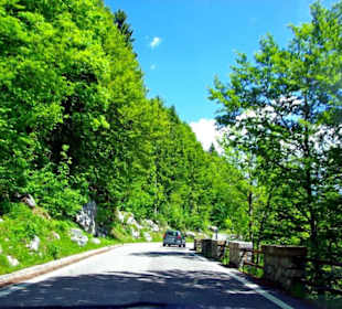 Plöckenpass 2010 die ganze Strecke