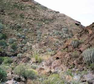 Barranco del Taurito - Gran Canaria