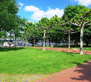 Am Rheinufer Vorplatz