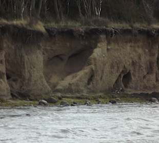 Inselrundfahrt Insel Poel