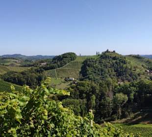 Weingebiet bei Glanz