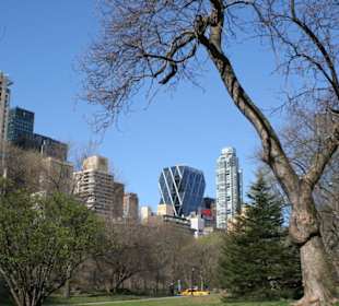 I palazzi da central park