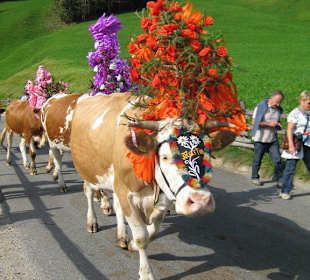 Almabtrieb