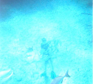 Unser Guide beim Tauchen