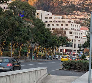 Wandern Funchal