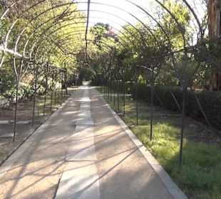 Real Jardín Botánico de Madrid