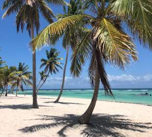 Ausflug Insel Saona bei Paco