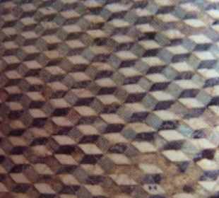Fußbodenmosaik in der Römischen Villa in Rabat