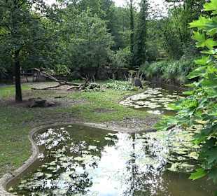 Tierpark Hellabrunn